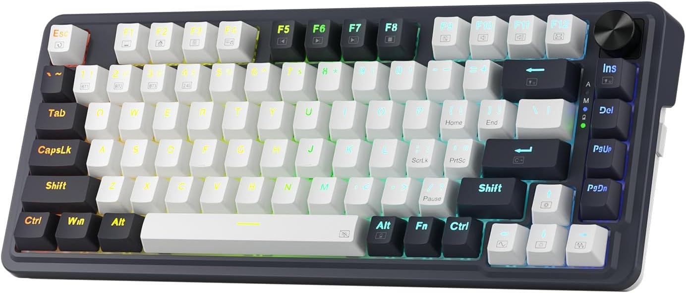 Redragon K673 PRO Wireless 81-Key RGB Gasket Gaming Keyboard